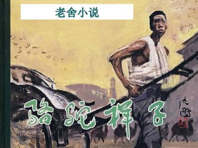 深入了解 日韩永久域名